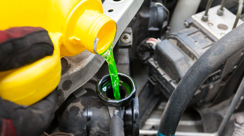 Pouring Coolant in Jaguar